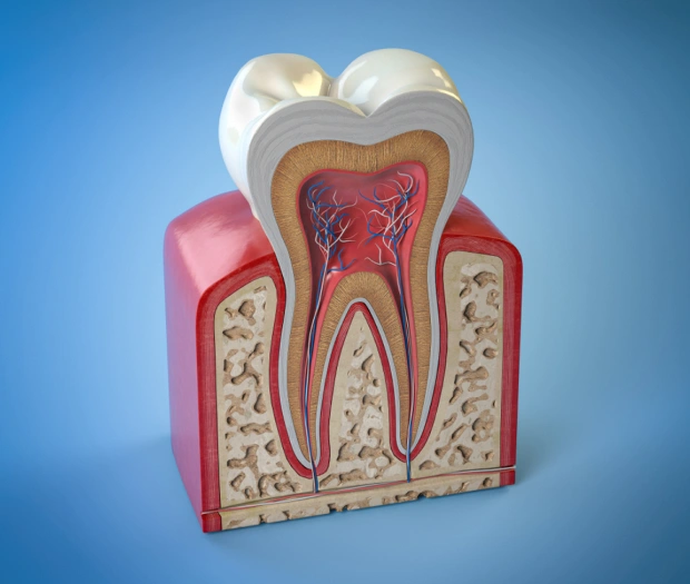 405 Dental Aesthetics